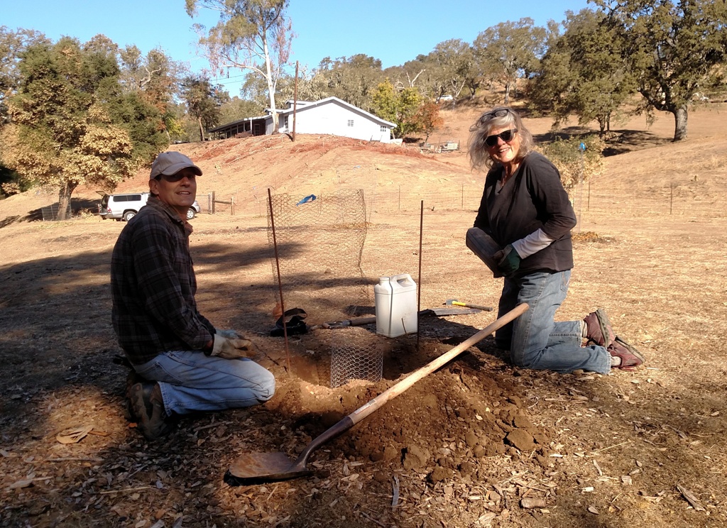 Craig and Kate - planting a live oak seedling